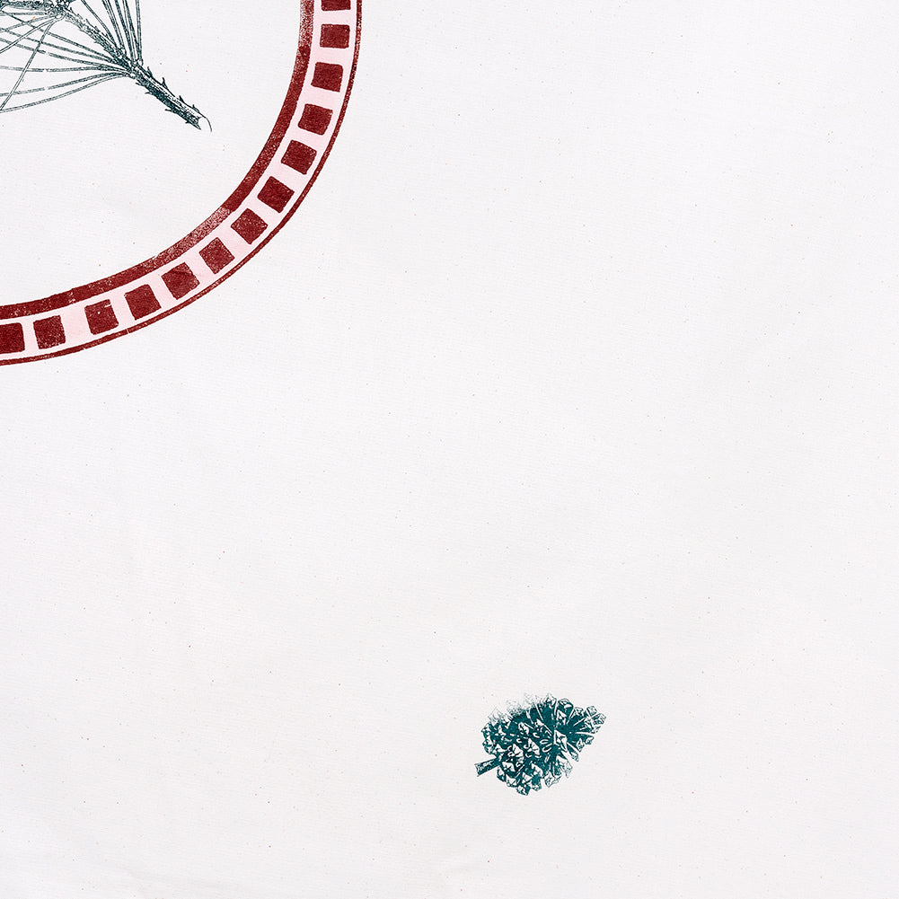 מפת אצטרובל