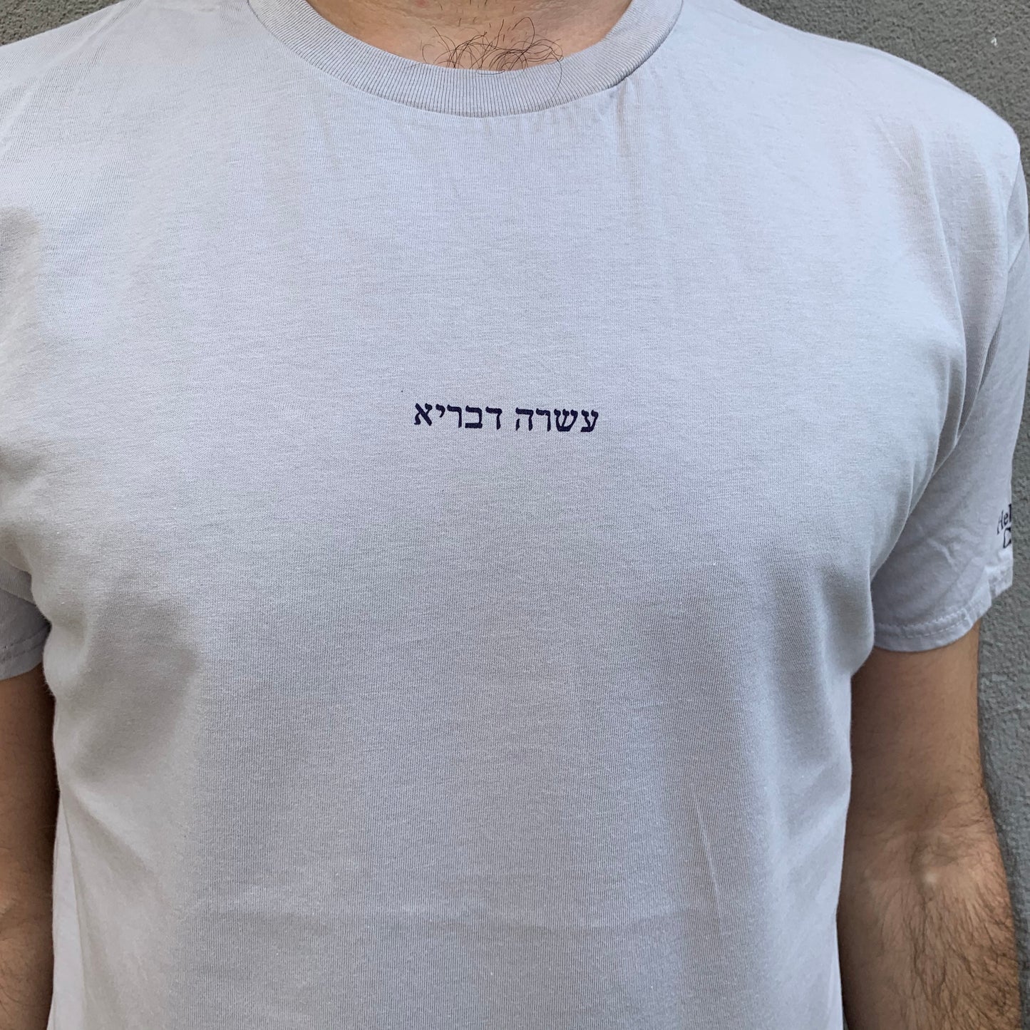 עשרה דיבריא